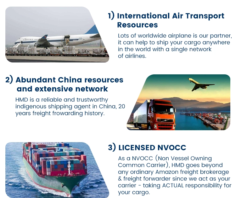 sunny worldwide logistics